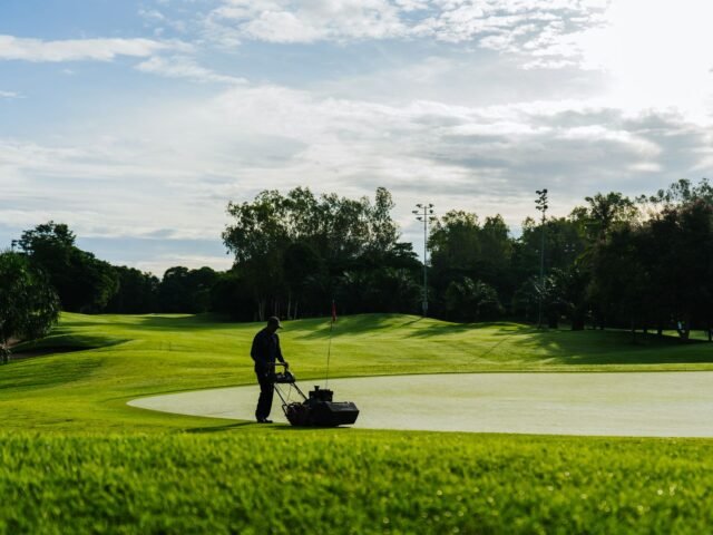 Lawn Care & Maintenance by All Around Tree and Landscape