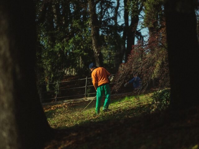 Spring & Fall Cleanups by All Around Tree and Landscape