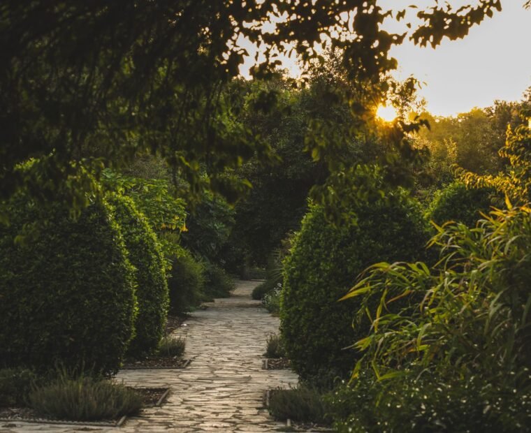 Natural stone walkway leading through a planted border